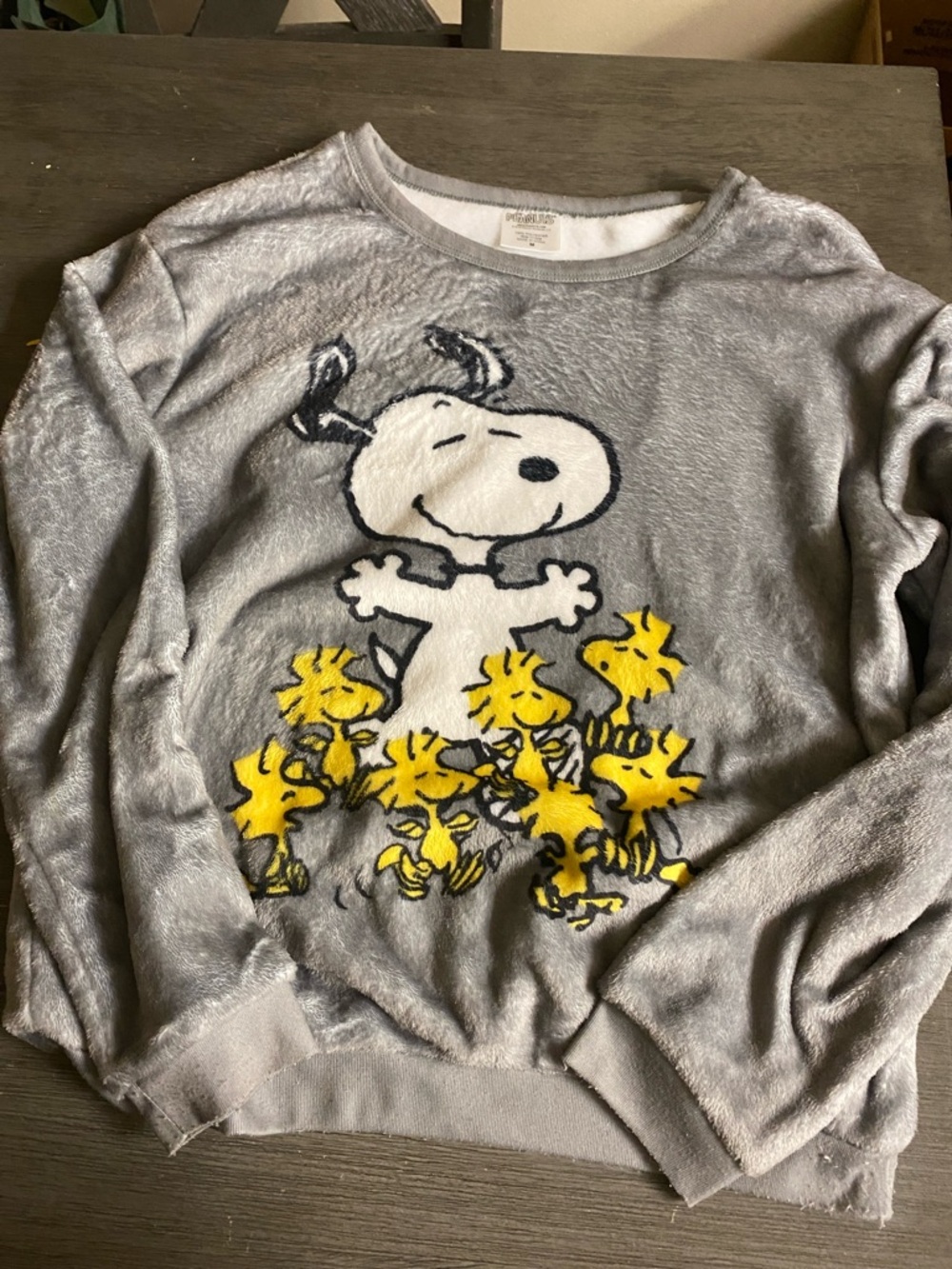 Peanuts Snoopy & Woodstock’s Sweatshirt